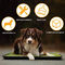 چمن مصنوعی حیوان خانگی برای محوطه سازی چمن مصنوعی سگ